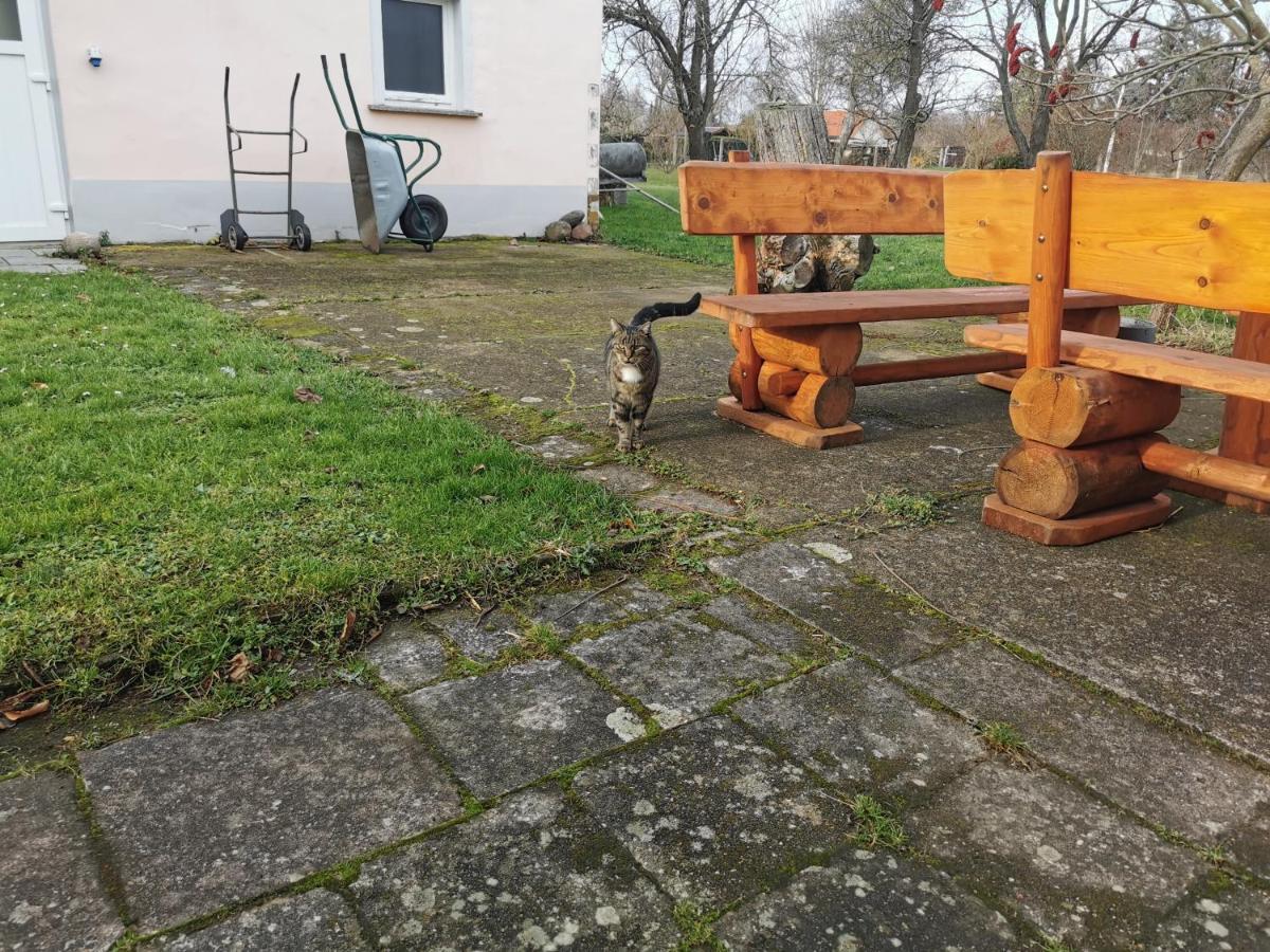 Wellness Oase Auf Dem Land Buttstadt Exterior foto